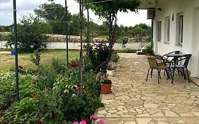 Apartments Nena