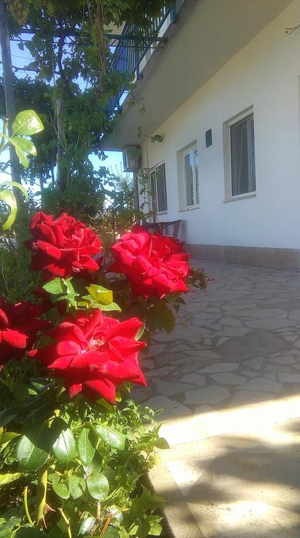 Apartments Nena Lozovac Esterno foto
